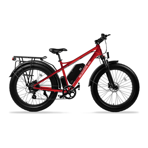 Daymak WILD GOOSE 60V user manual