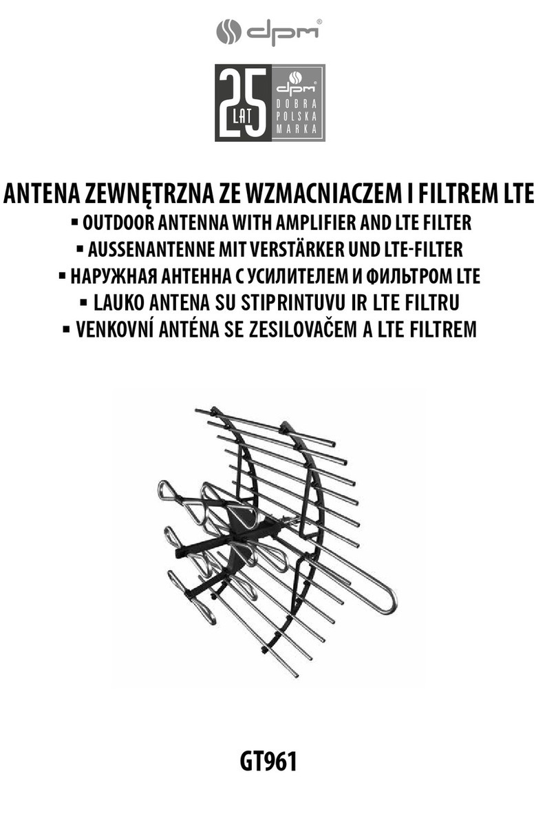 DPM GT961 User manual