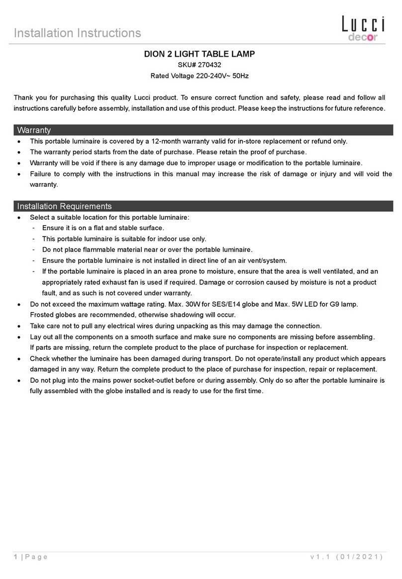 Lucci decor DION 2 LIGHT installation instructions