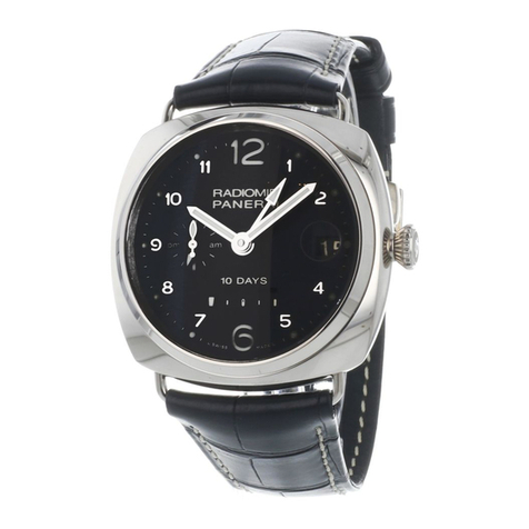 Panerai SPECIAL EDITIONS RADIOMIR 10 DAYS PLATINO User manual