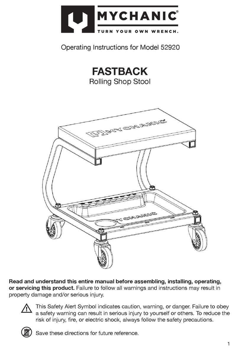 Mychanic FASTBACK operating instructions