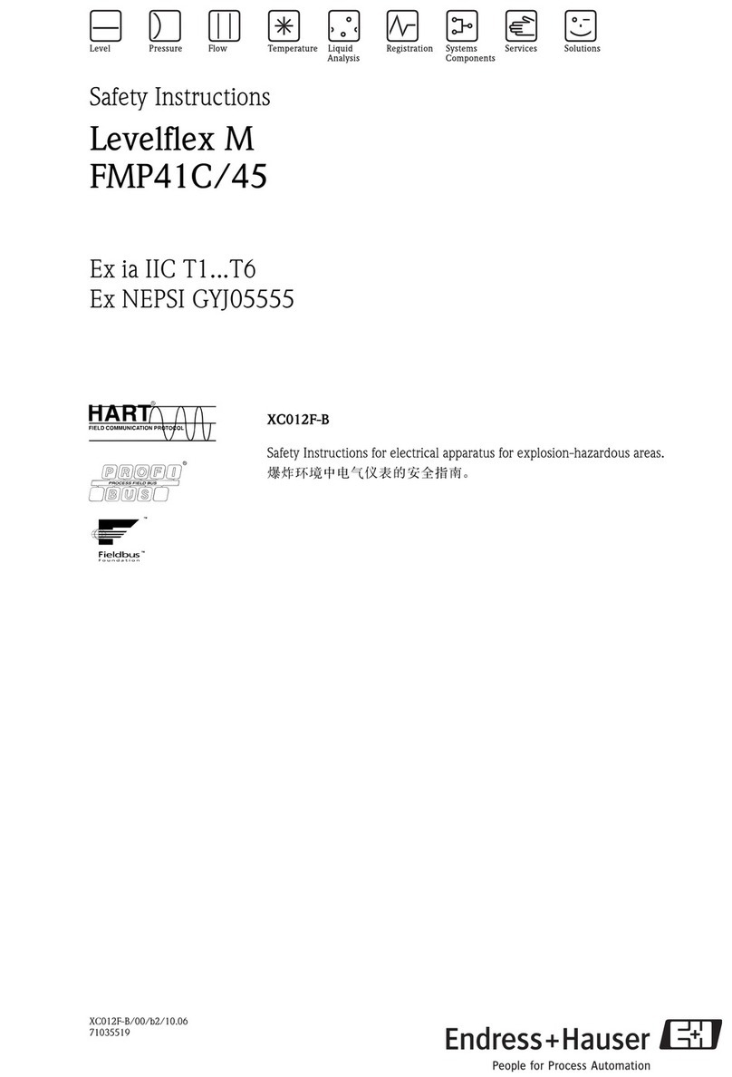 Endress+Hauser Levelflex M FMP41C Installation instructions