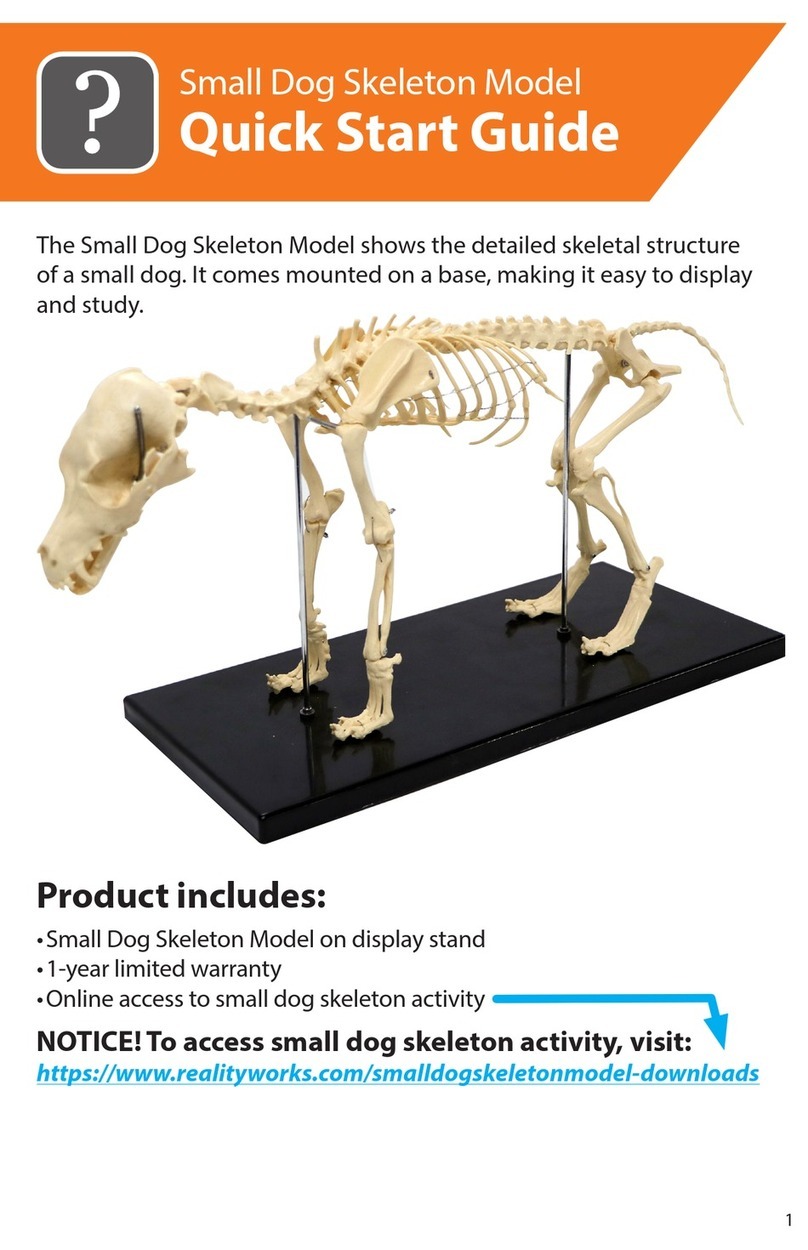 Reality Works Small Dog Skeleton Model quick start guide