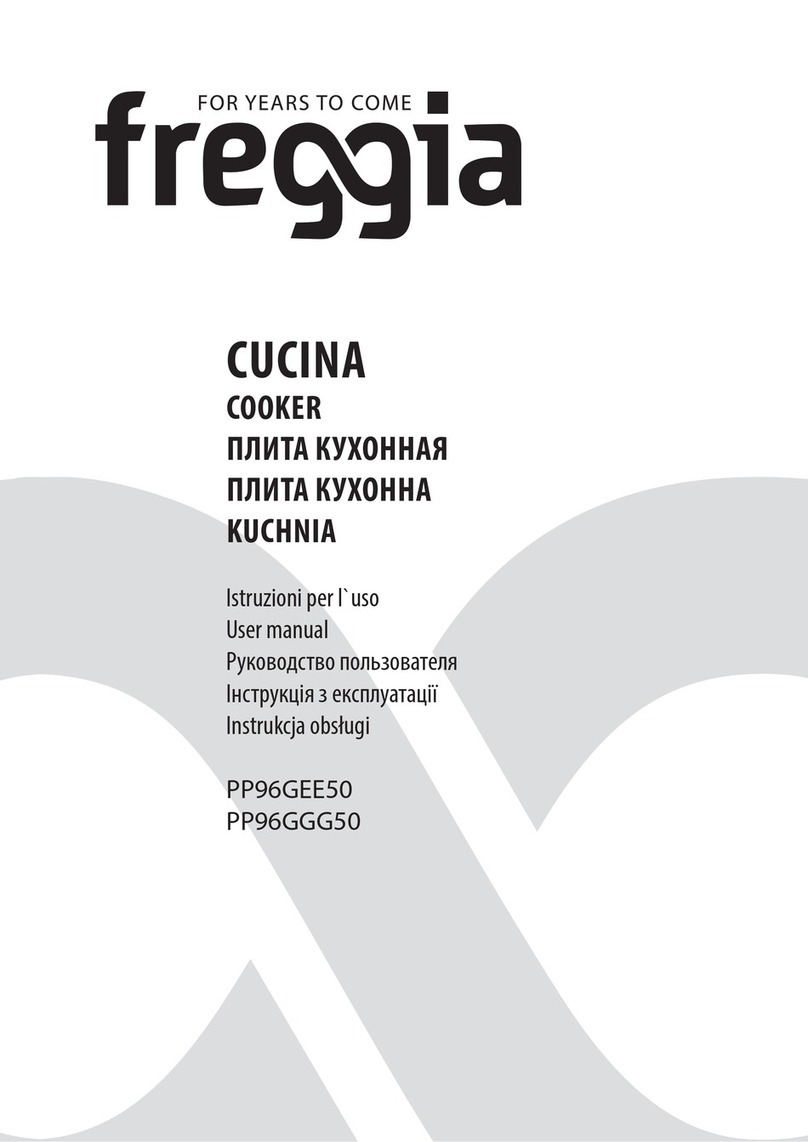 Freggia PP96GEE50 user manual
