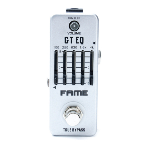 FAME Equalizer LEF-317 user manual