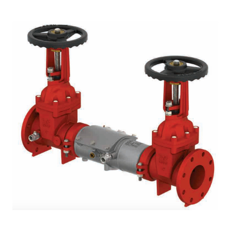 Watts AMES Deringer 20G Installation, operation and maintenance manual
