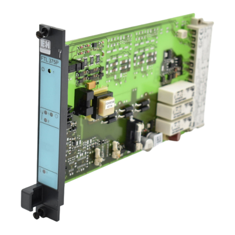 Endress+Hauser nivotester FTL 375 P-1 Series manual