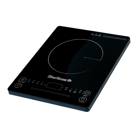 BLUE STONE ICB-6619 user manual