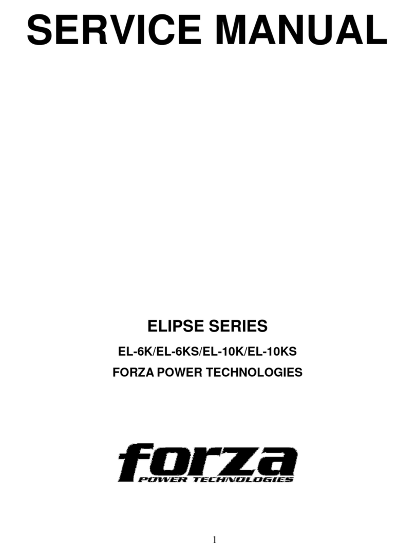 Forza Elipse Series User manual