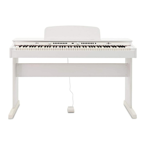 Gear4music DP-6 user manual