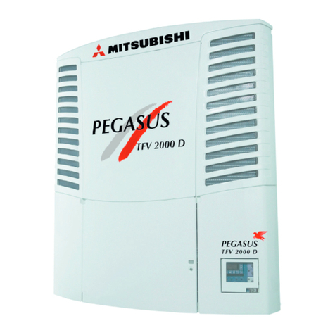 Pegasus TFV2000D-E Operation manual