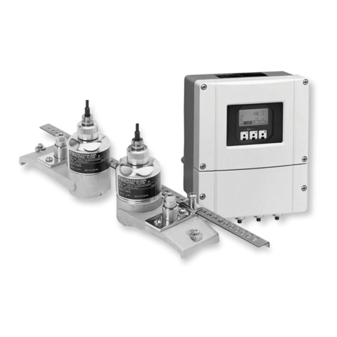 Endress+Hauser Proline Prosonic Flow 93 Technical specifications