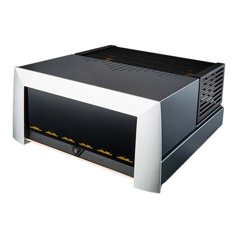 Cayin m-845D User manual