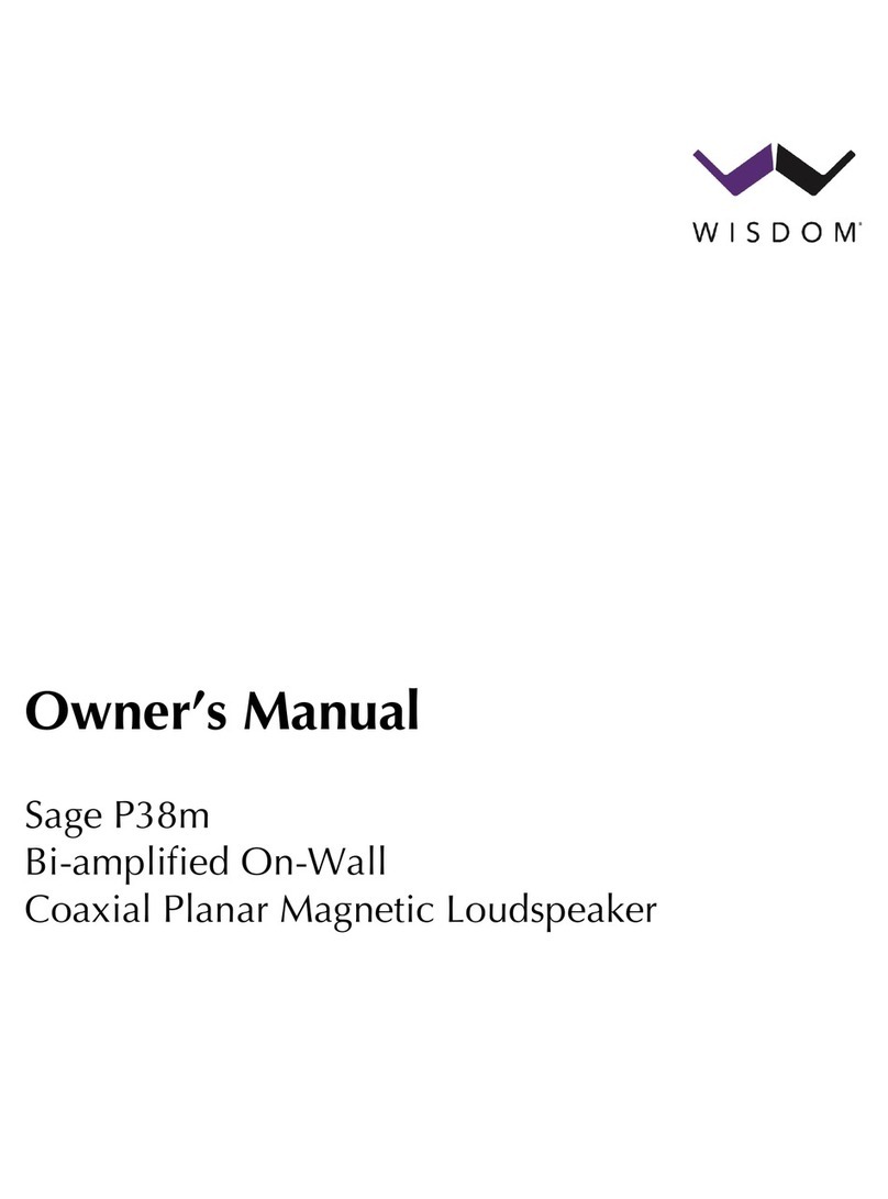 Wisdom Sage P38m User manual