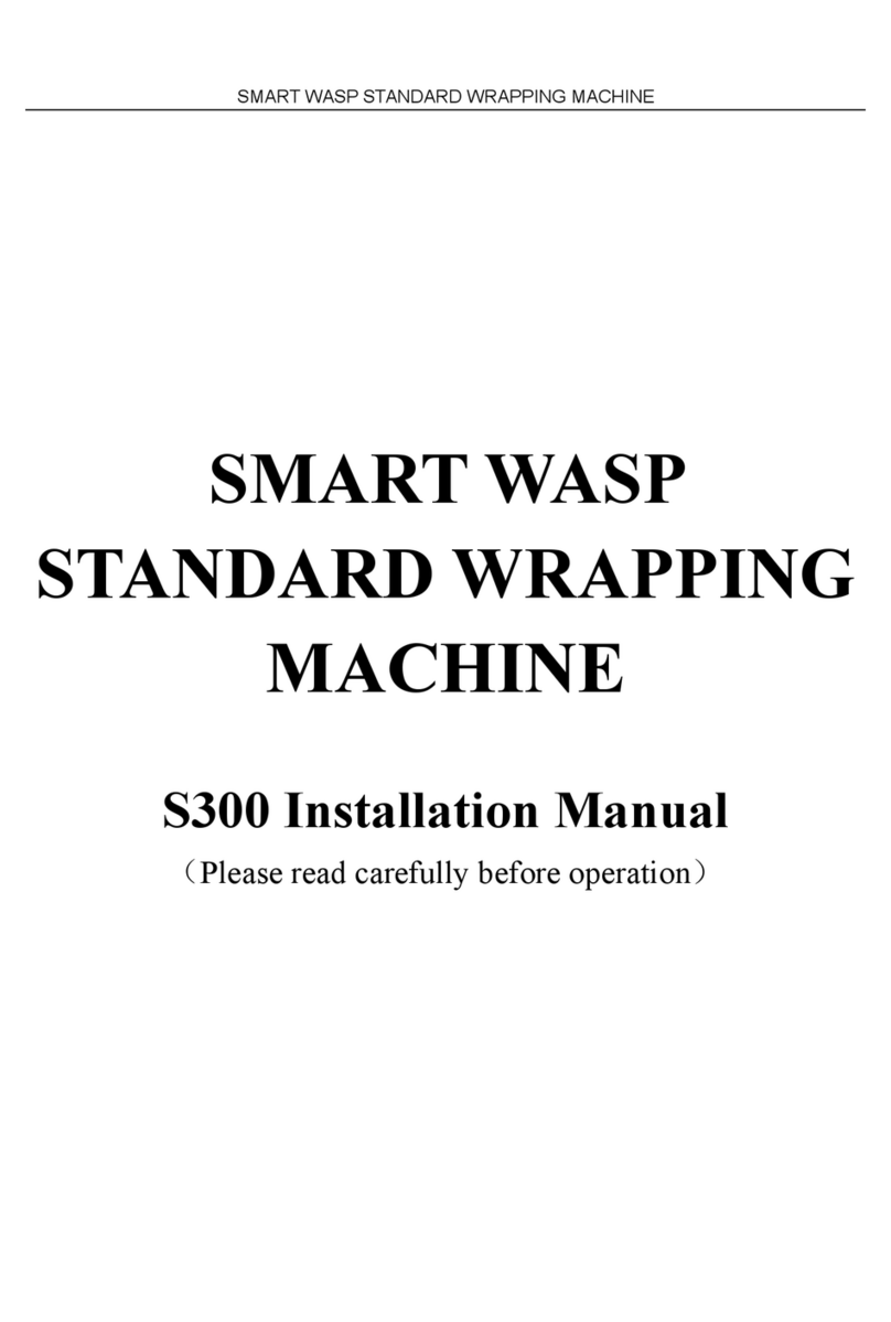 Smart wasp S300 installation manual