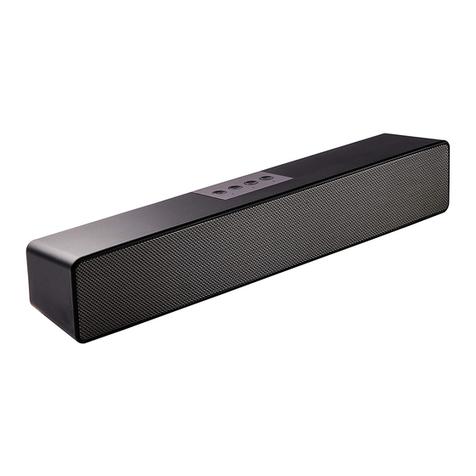Sine Audio SaiYin DS5101 user manual