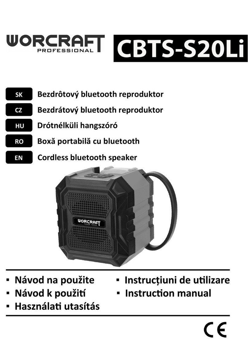 Worcraft PROFESSIONAL CBTS-S20Li instruction manual