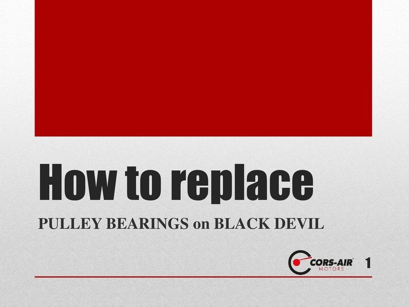 Corsair Black Devil User manual
