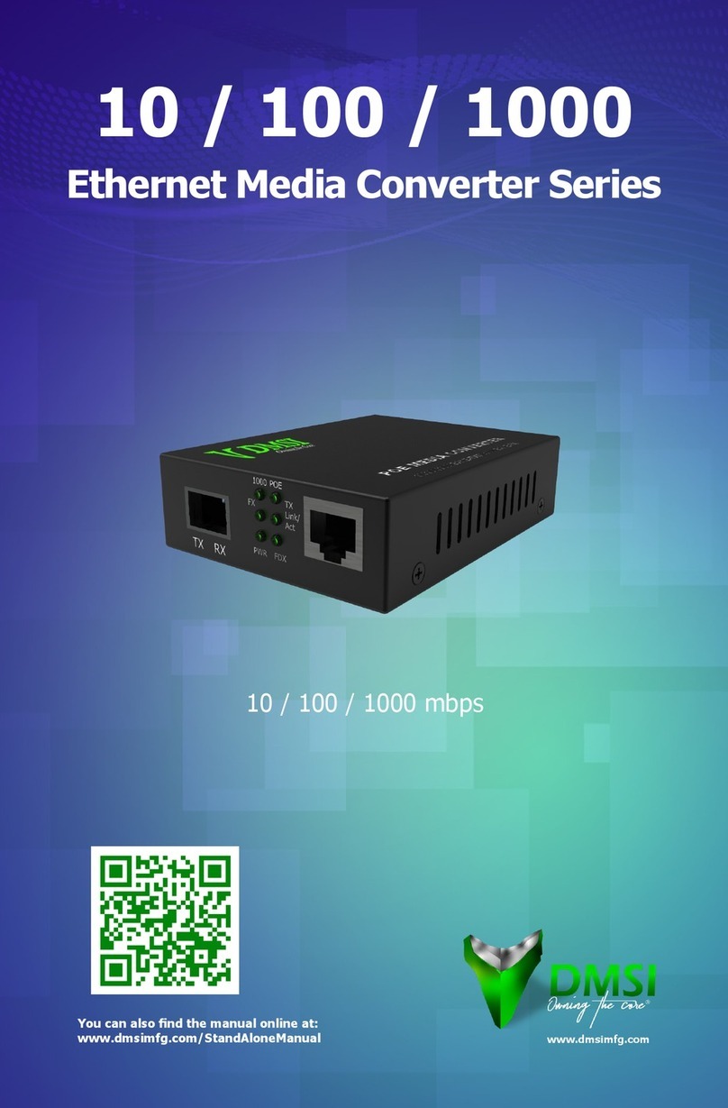 DMSI 10 manual