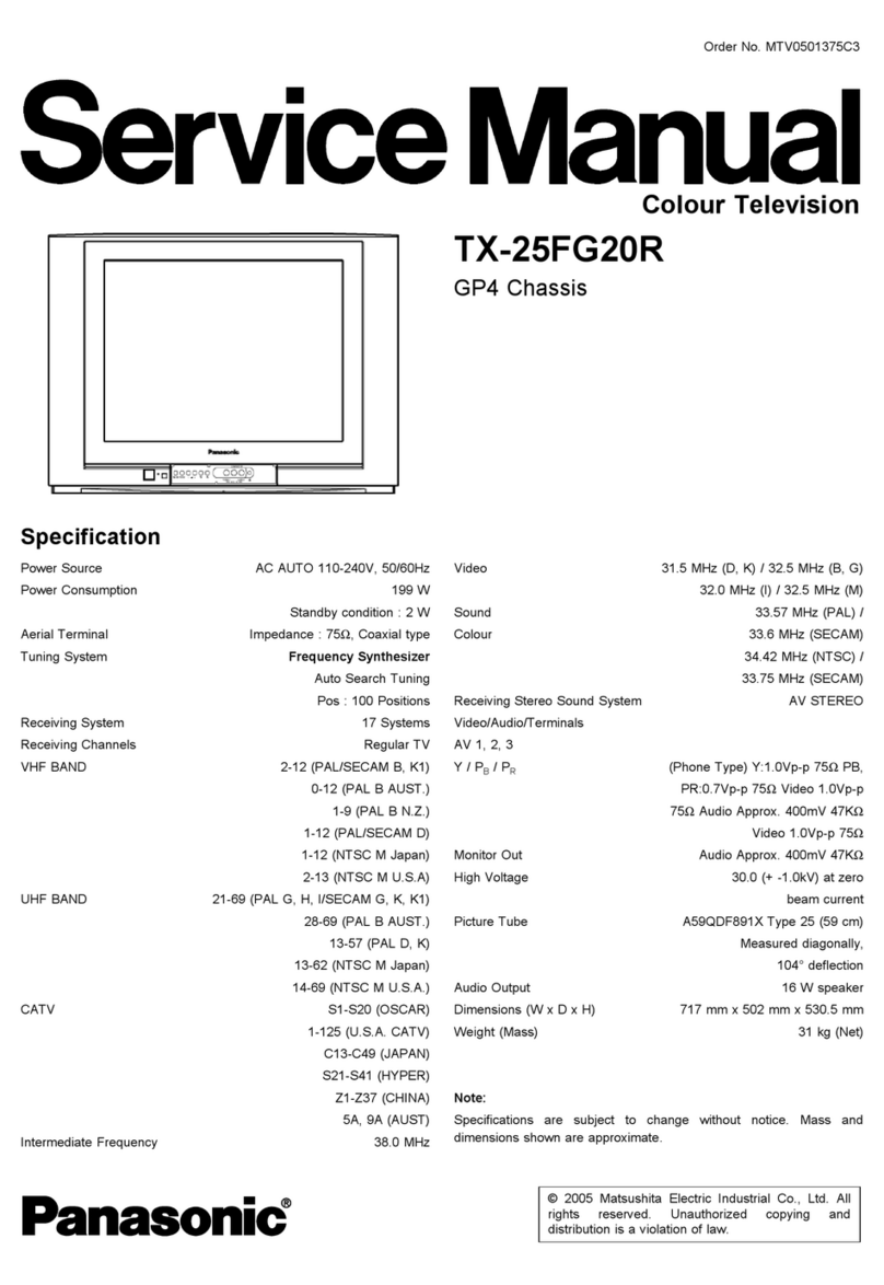 Panasonic TX-25FG20R User manual