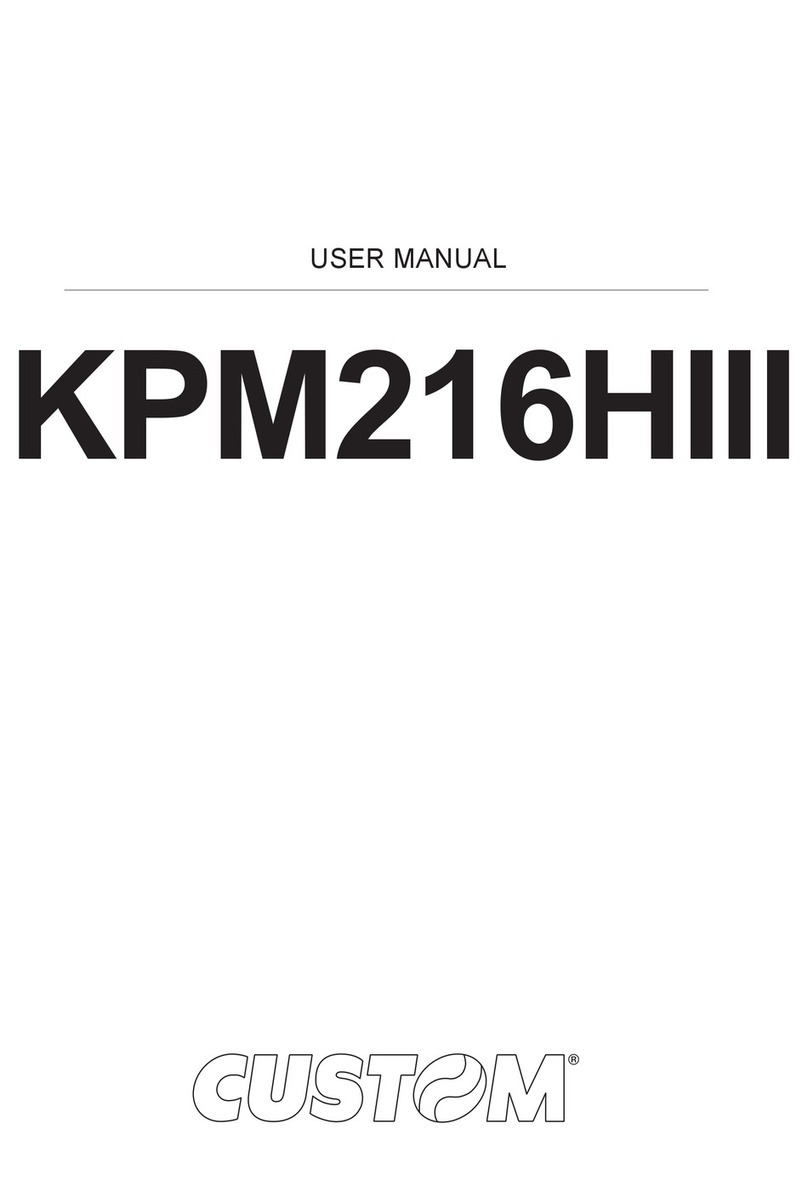 Custom Audio Electronics KPM216HIII User manual