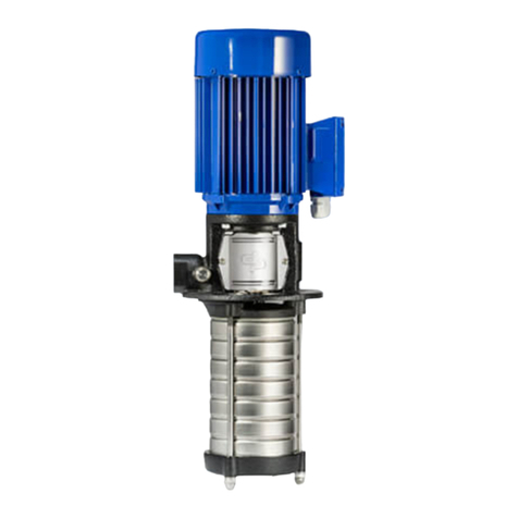 DP Pumps DPVCI Installation and operating instructions DP Pumps DPVCI Installation and operating instructions