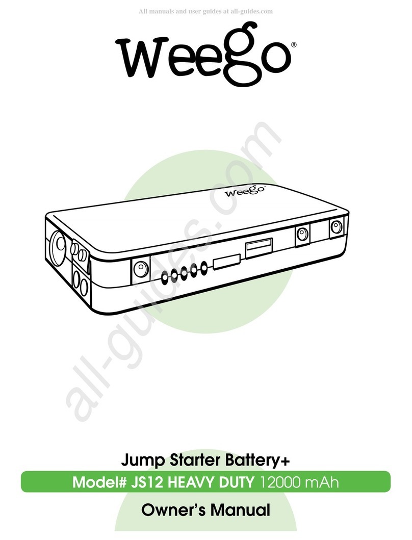 Weego JS12 owner's manual