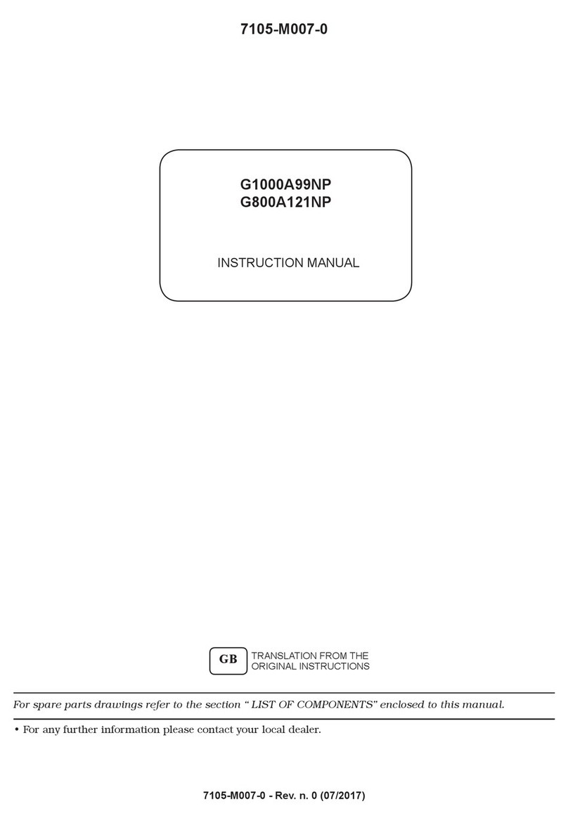 Ravaglioli G1000A99NP User manual