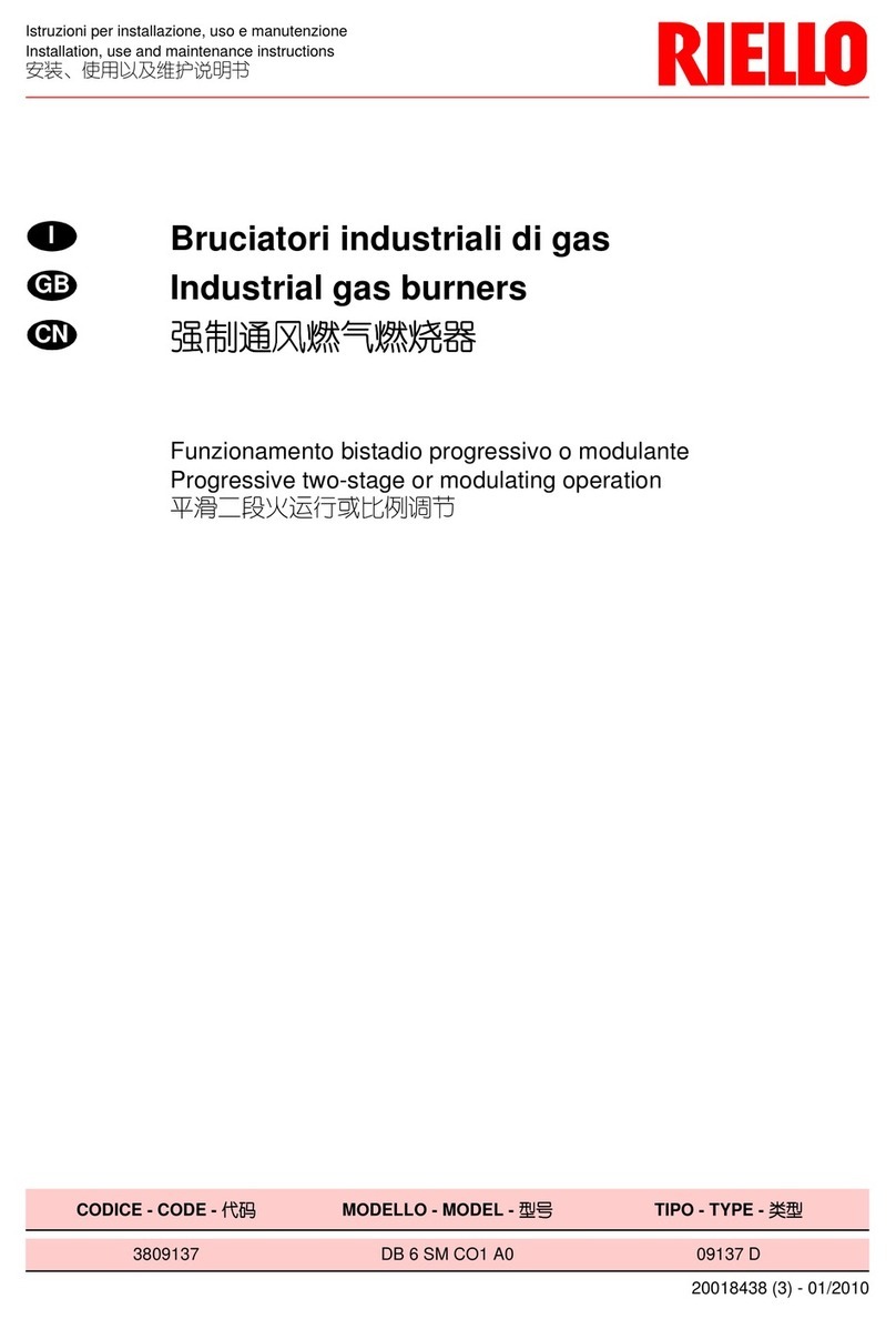 Riello DB 6 SM CO1 A0 Installation, use and maintenance instructions