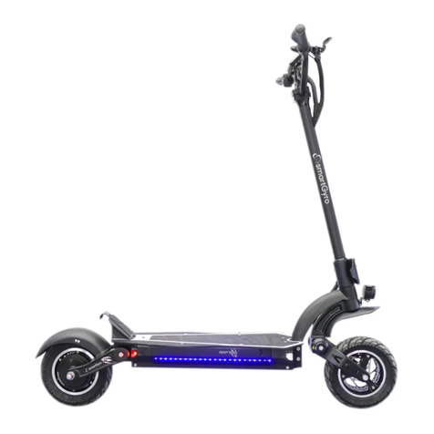 SmartGyro Raptor manual