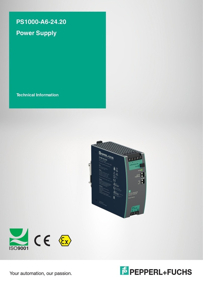Pepperl+Fuchs PS1000-A6-24.20 technical information