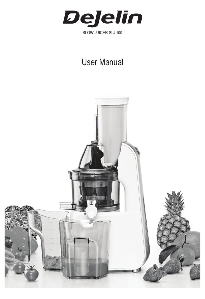 DEJELIN SLJ 100 user manual