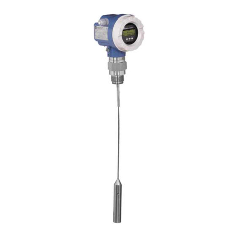 Endress+Hauser Levelflex M FMP41C User manual