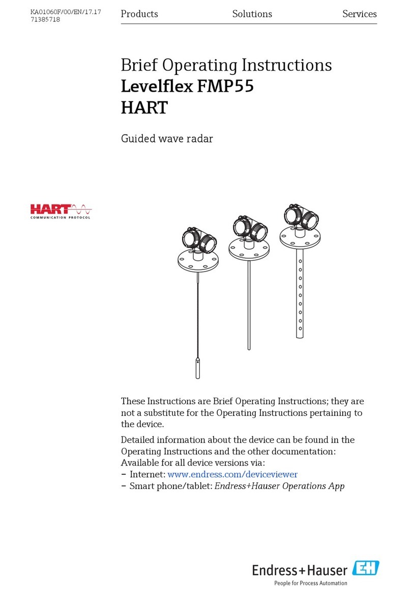 Endress+Hauser Levelflex FMP55 Brief operating instructions