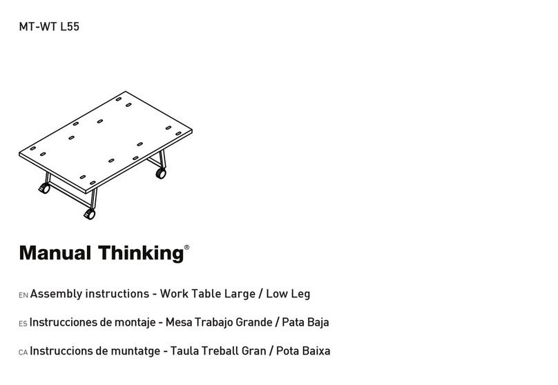 Manual Thinking MT-WT L55 Assembly instructions