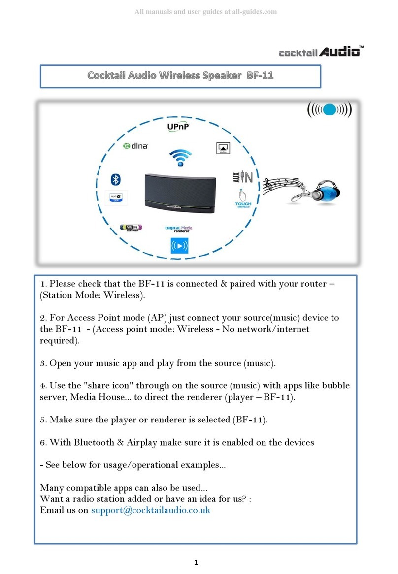 CocktailAudio BF-11 manual