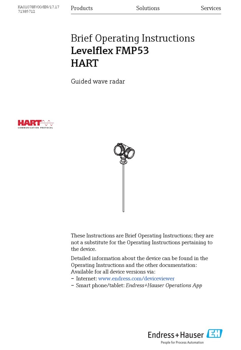 Endress HART Levelflex FMP53 Technical specifications