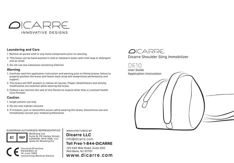 Dicarre DE10 user guide