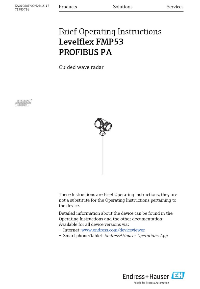 Endress+Hauser Levelflex FMP53 PROFIBUS PA Technical specifications