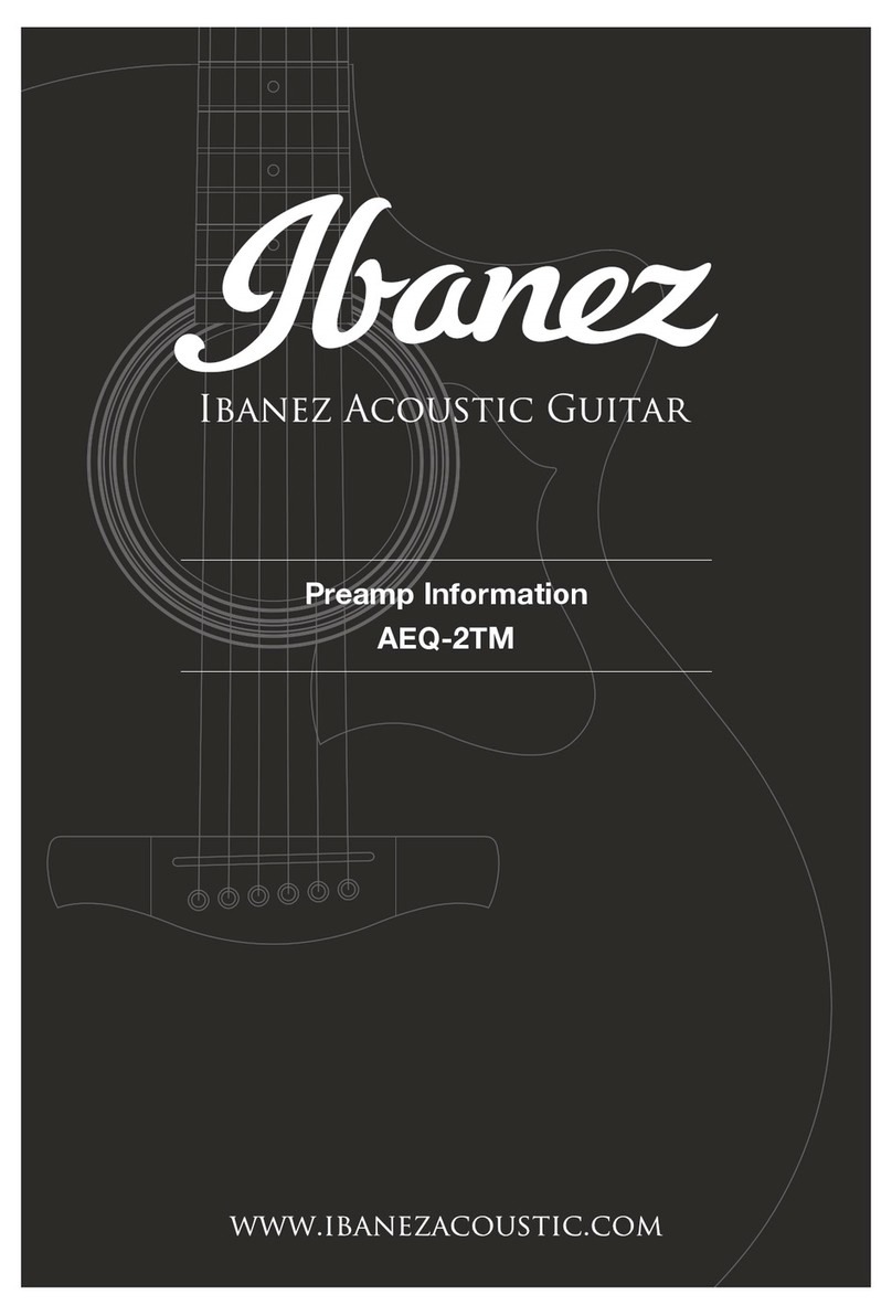 Ibanez AEQ-2TM Information