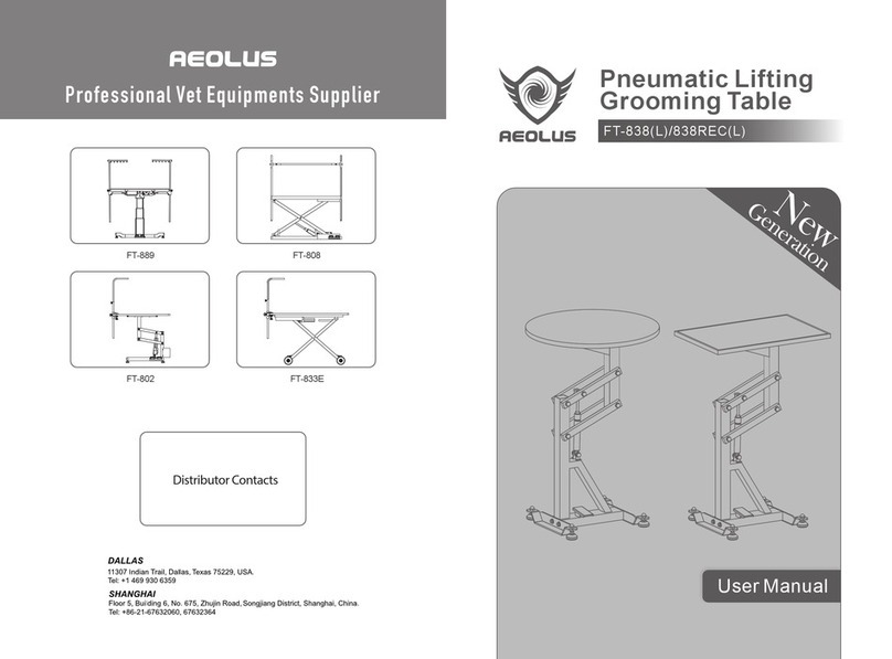 aeolus FT-838 user manual