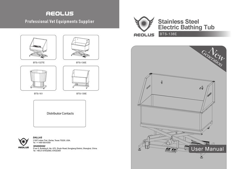 aeolus BTS-138E user manual