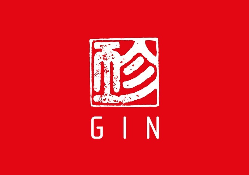 Gin Yeti-4 Manual