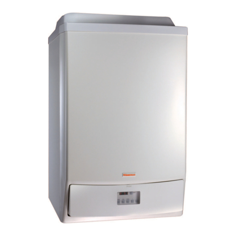 Immergas VICTRIX 115 1 I User manual