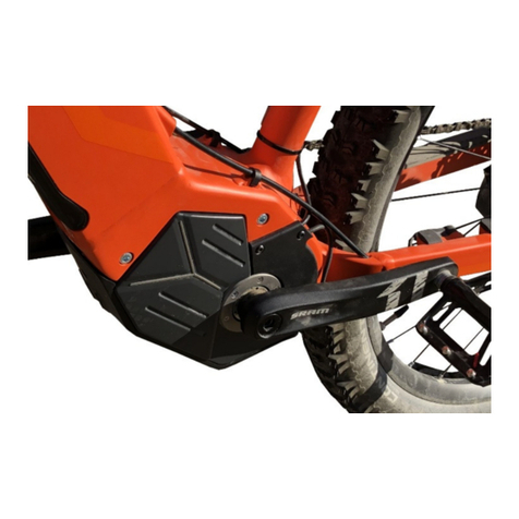 Bikespeed RealSpeed Instructions for the installation and description of the functions