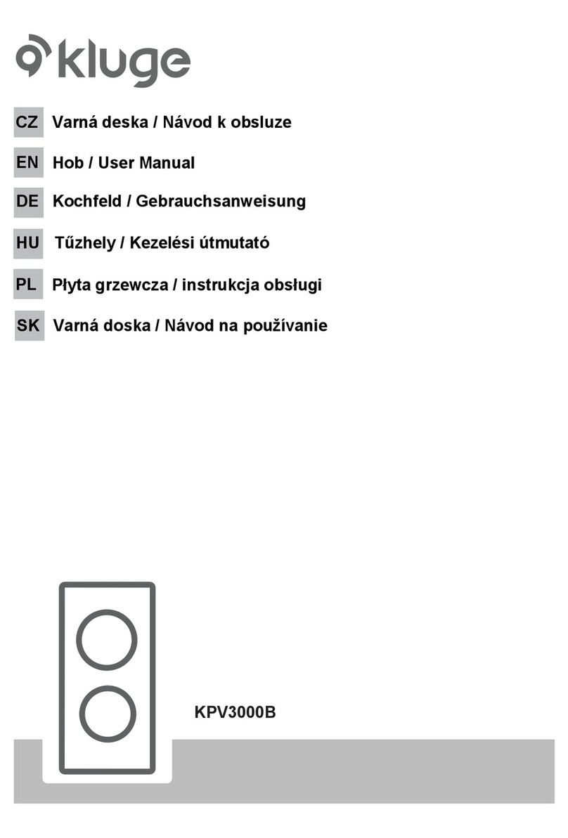 KLUGE KPV3000B user manual