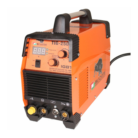 Bisonte TIG-200 user guide