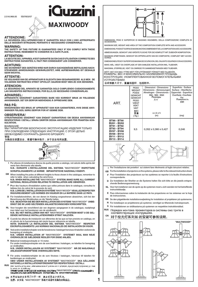 iGuzzini MAXIWOODY manual