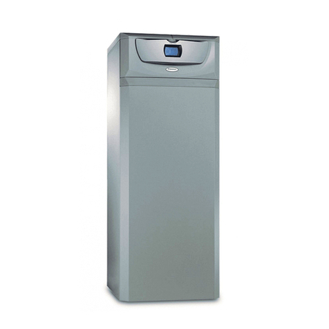 Immergas Hercules Condensing 26 2 E manual