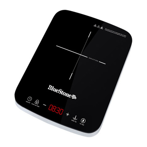 BLUE STONE ICB- 6617 User manual